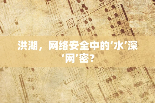 洪湖，网络安全中的‘水’深‘网’密？