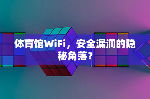 体育馆WiFi，安全漏洞的隐秘角落？