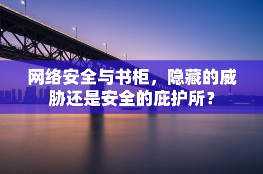 网络安全与书柜，隐藏的威胁还是安全的庇护所？