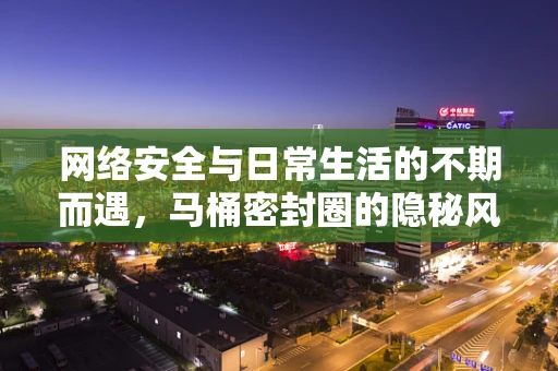 网络安全与日常生活的不期而遇，马桶密封圈的隐秘风险？
