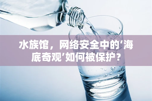 水族馆，网络安全中的‘海底奇观’如何被保护？