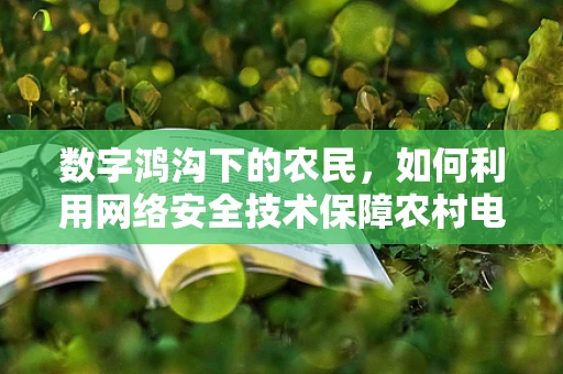 数字鸿沟下的农民，如何利用网络安全技术保障农村电商安全？