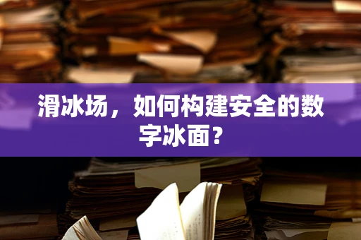 滑冰场，如何构建安全的数字冰面？
