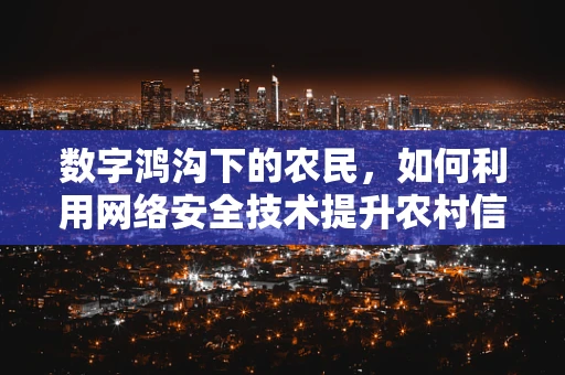 数字鸿沟下的农民，如何利用网络安全技术提升农村信息获取能力？
