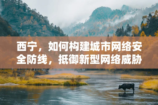 西宁，如何构建城市网络安全防线，抵御新型网络威胁？