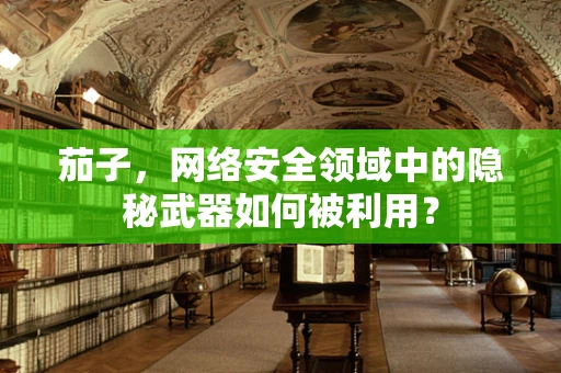 茄子，网络安全领域中的隐秘武器如何被利用？