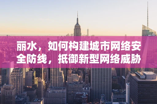 丽水，如何构建城市网络安全防线，抵御新型网络威胁？