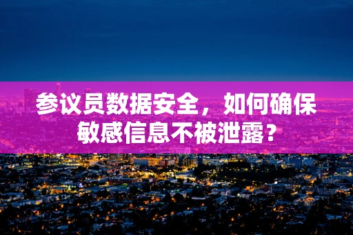 参议员数据安全，如何确保敏感信息不被泄露？