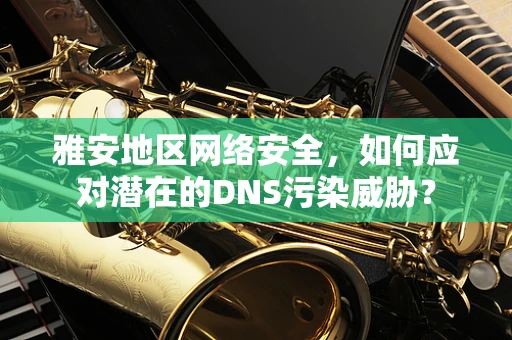 雅安地区网络安全，如何应对潜在的DNS污染威胁？