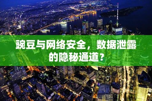 豌豆与网络安全，数据泄露的隐秘通道？