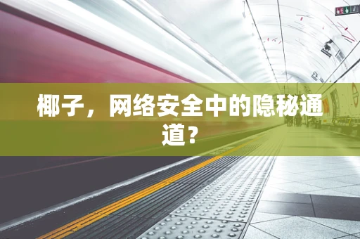 椰子，网络安全中的隐秘通道？