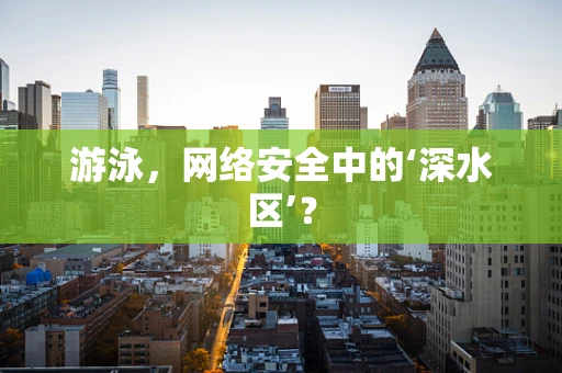 游泳，网络安全中的‘深水区’？