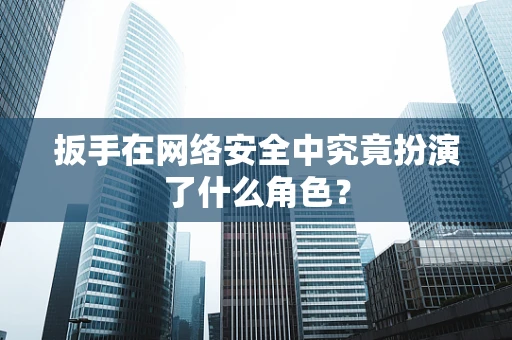 扳手在网络安全中究竟扮演了什么角色？