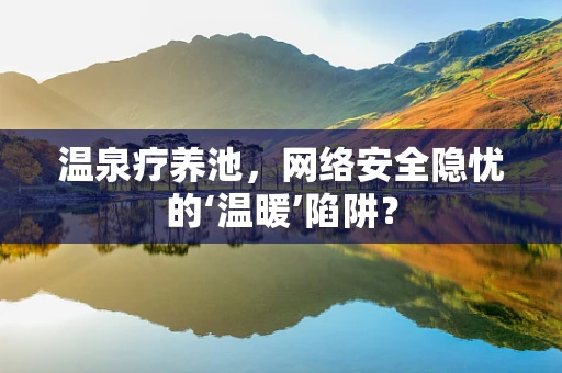 温泉疗养池，网络安全隐忧的‘温暖’陷阱？