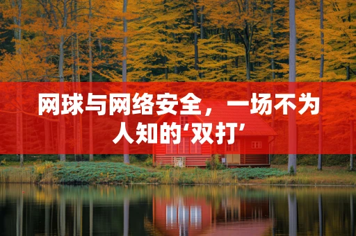 网球与网络安全，一场不为人知的‘双打’