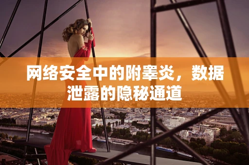 网络安全中的附睾炎，数据泄露的隐秘通道