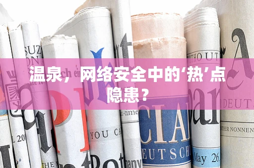 温泉，网络安全中的‘热’点隐患？