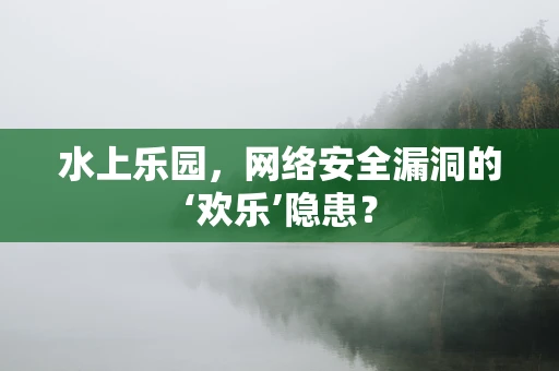 水上乐园，网络安全漏洞的‘欢乐’隐患？