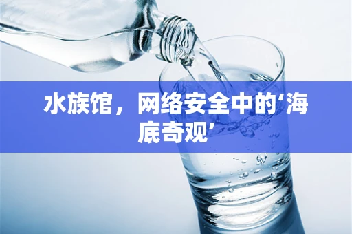 水族馆，网络安全中的‘海底奇观’