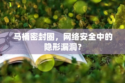 马桶密封圈，网络安全中的隐形漏洞？