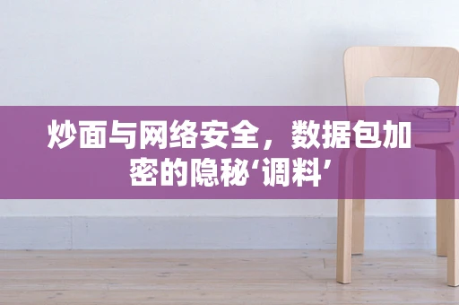 炒面与网络安全，数据包加密的隐秘‘调料’