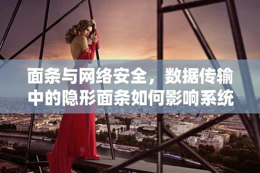 面条与网络安全，数据传输中的隐形面条如何影响系统安全？
