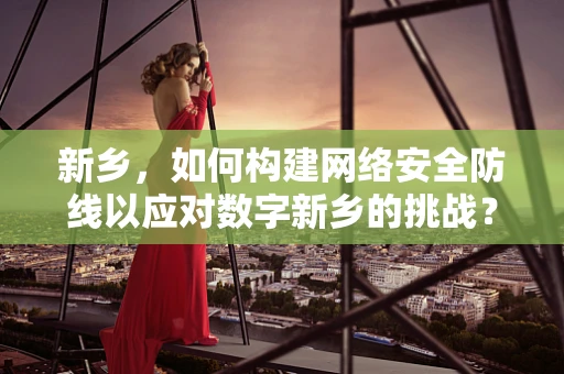 新乡，如何构建网络安全防线以应对数字新乡的挑战？