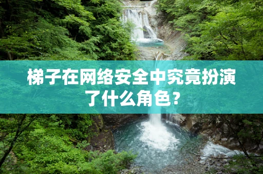 梯子在网络安全中究竟扮演了什么角色？