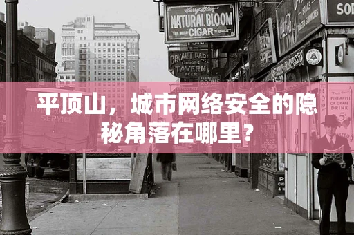 平顶山，城市网络安全的隐秘角落在哪里？