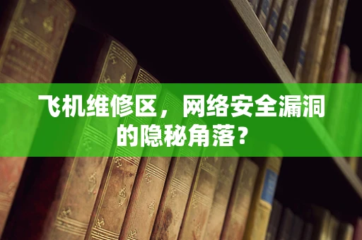 飞机维修区，网络安全漏洞的隐秘角落？