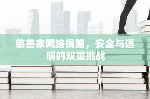 慈善家网络捐赠，安全与透明的双重挑战