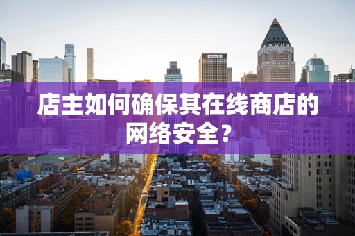 店主如何确保其在线商店的网络安全？