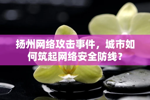 扬州网络攻击事件，城市如何筑起网络安全防线？