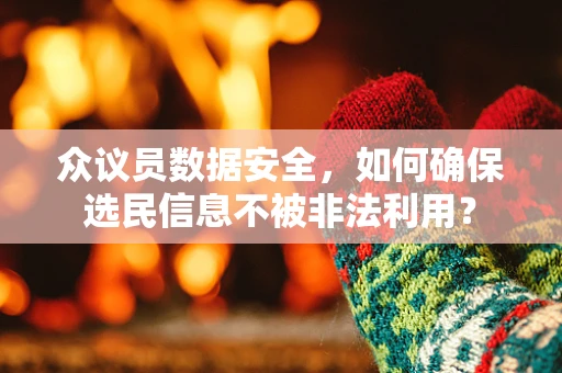众议员数据安全，如何确保选民信息不被非法利用？