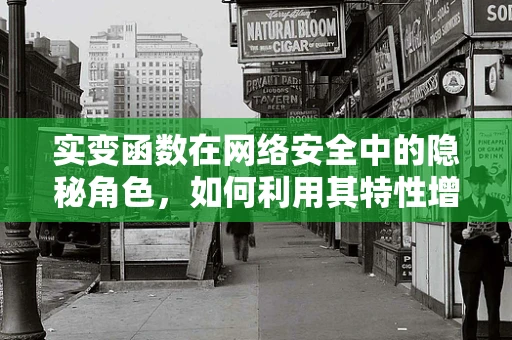 实变函数在网络安全中的隐秘角色，如何利用其特性增强数据加密的强度？