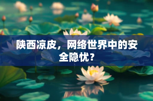 陕西凉皮，网络世界中的安全隐忧？