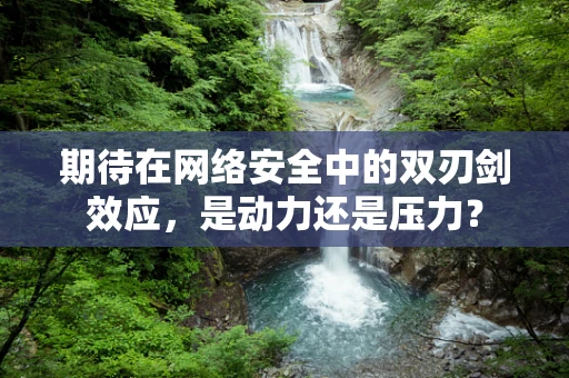 期待在网络安全中的双刃剑效应，是动力还是压力？