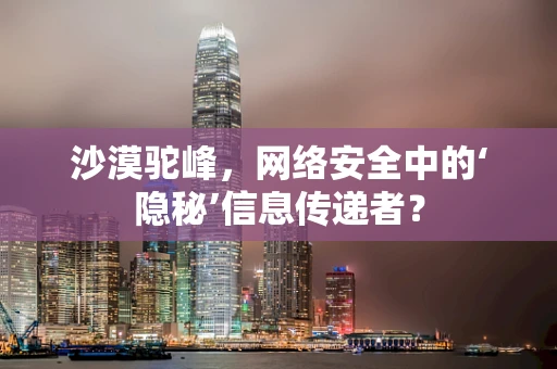 沙漠驼峰，网络安全中的‘隐秘’信息传递者？