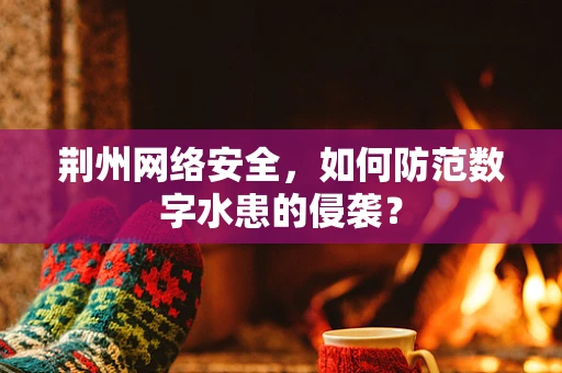 荆州网络安全，如何防范数字水患的侵袭？