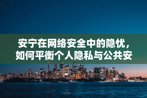 安宁在网络安全中的隐忧，如何平衡个人隐私与公共安全？