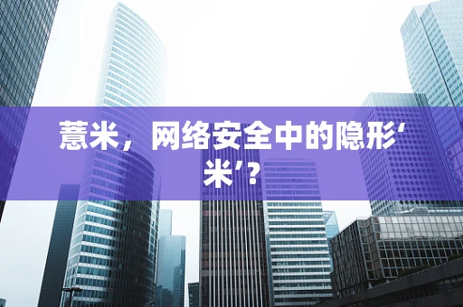 薏米，网络安全中的隐形‘米’？