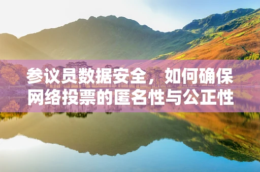 参议员数据安全，如何确保网络投票的匿名性与公正性？
