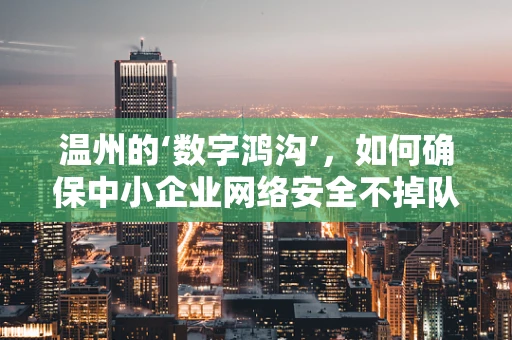温州的‘数字鸿沟’，如何确保中小企业网络安全不掉队？