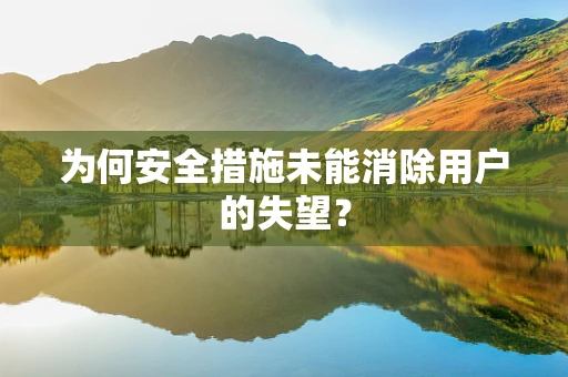 为何安全措施未能消除用户的失望？