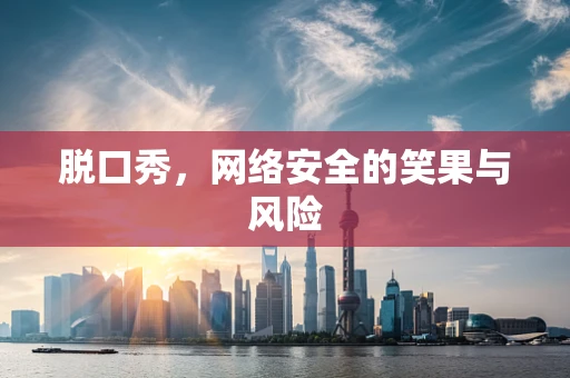 脱口秀，网络安全的笑果与风险