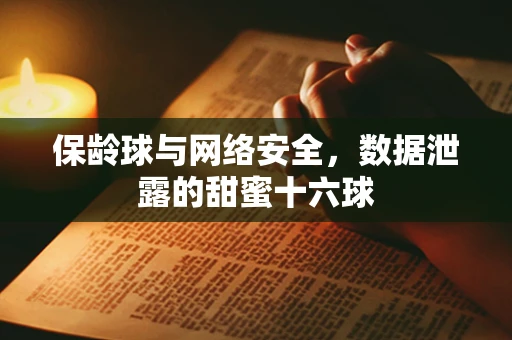 保龄球与网络安全，数据泄露的甜蜜十六球