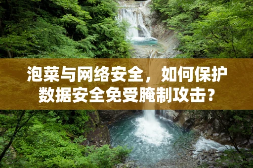 泡菜与网络安全，如何保护数据安全免受腌制攻击？