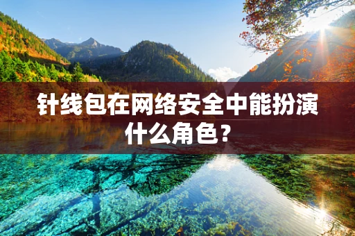 针线包在网络安全中能扮演什么角色？