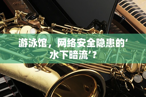 游泳馆，网络安全隐患的‘水下暗流’？