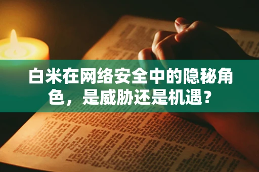 白米在网络安全中的隐秘角色，是威胁还是机遇？